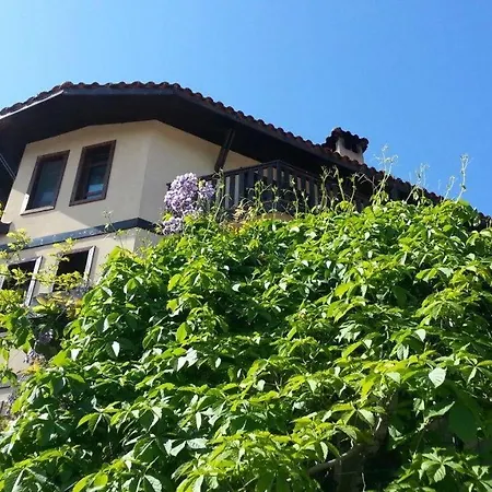 Guest house Bay Arapya